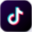 TikTok icon